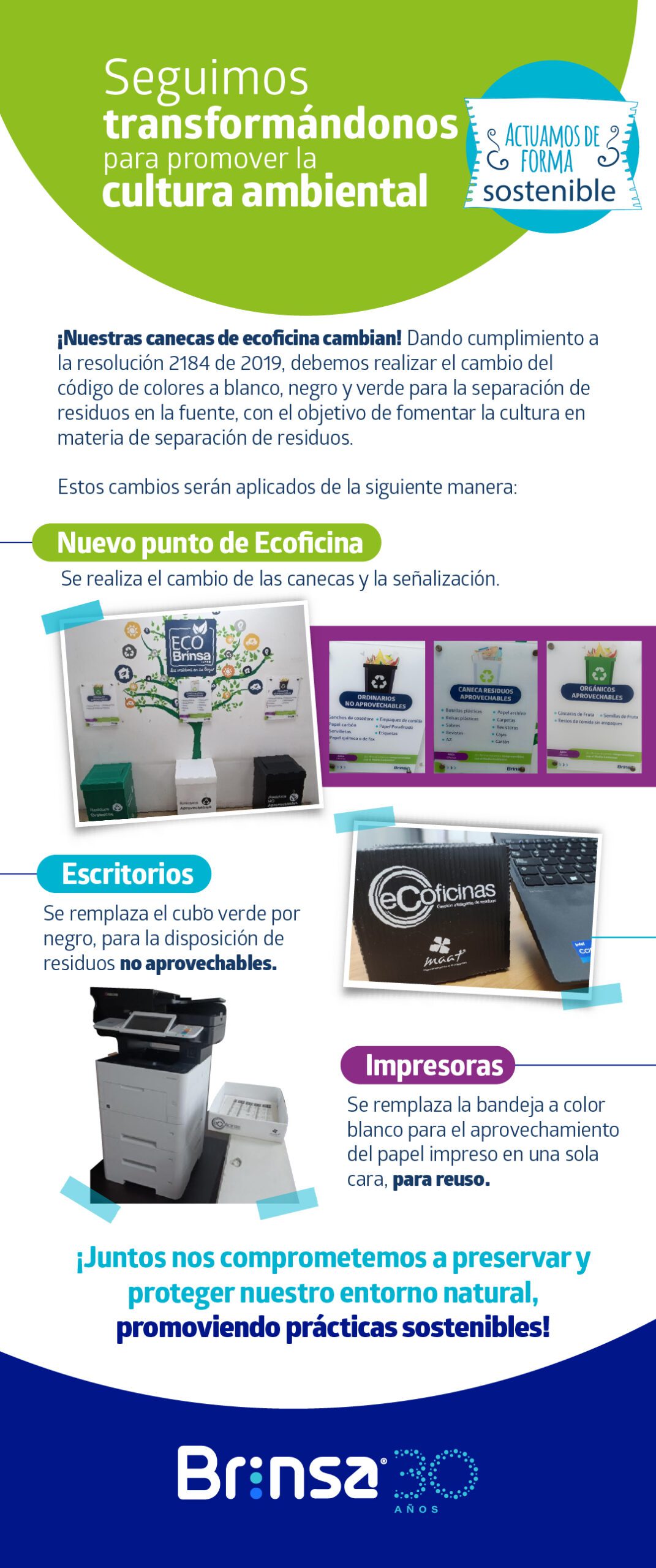 Brinsa boletin