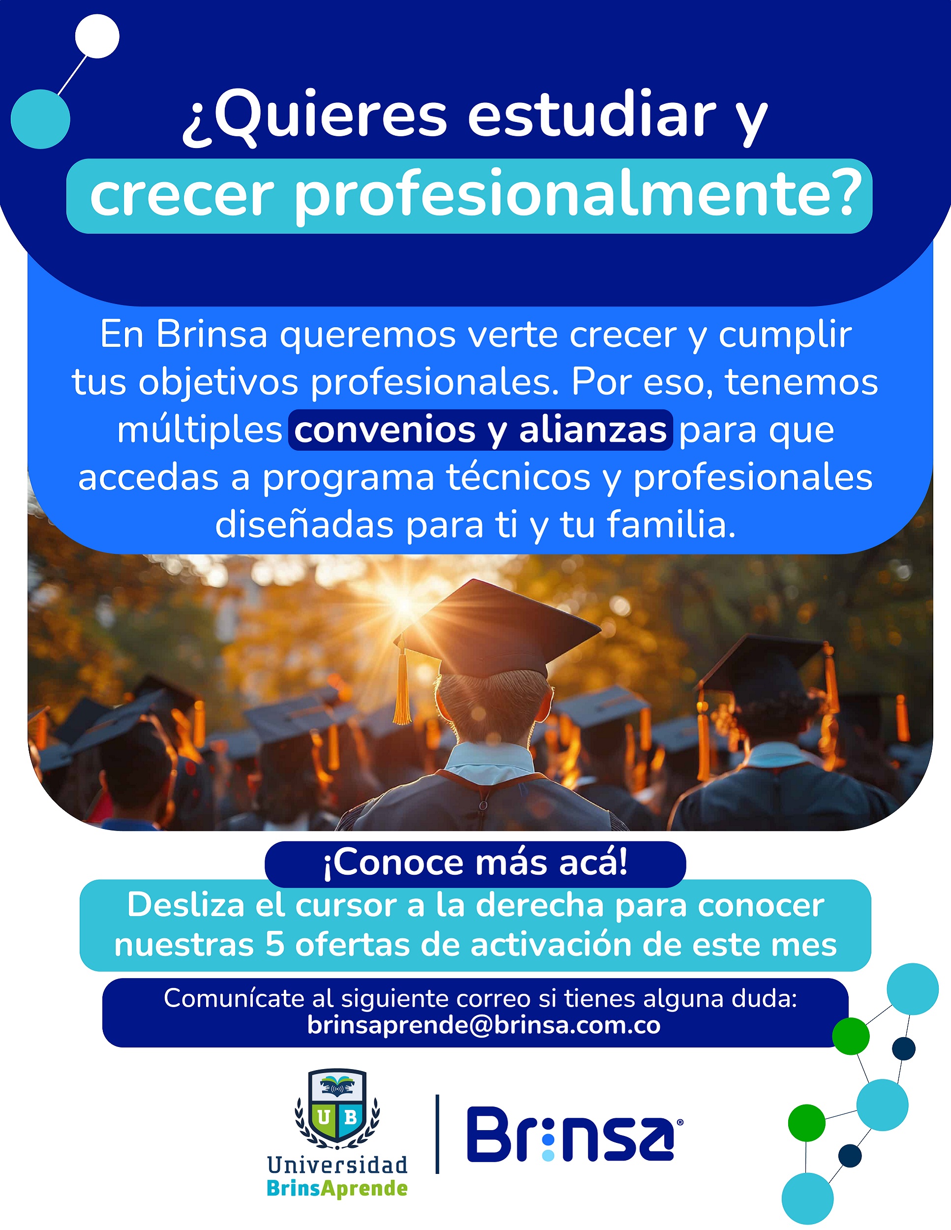 Brinsa boletin
