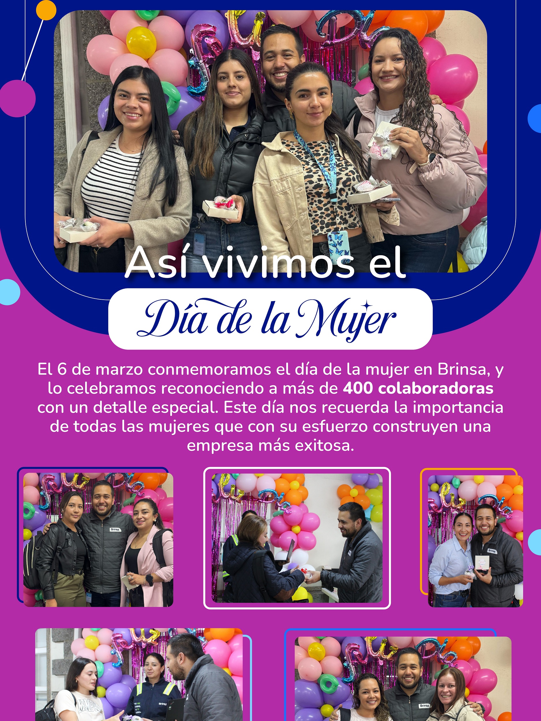 Brinsa boletin