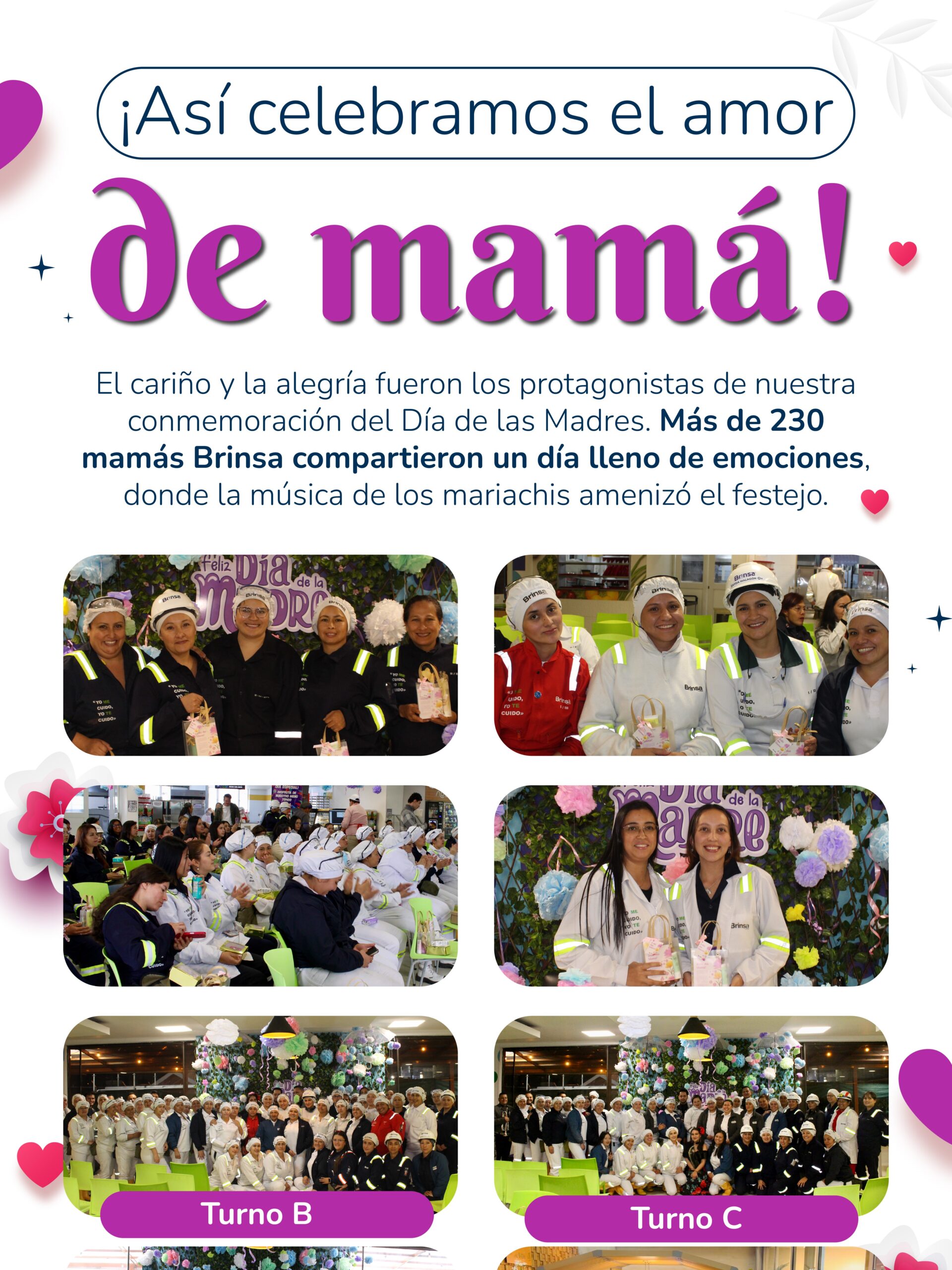 Brinsa boletin