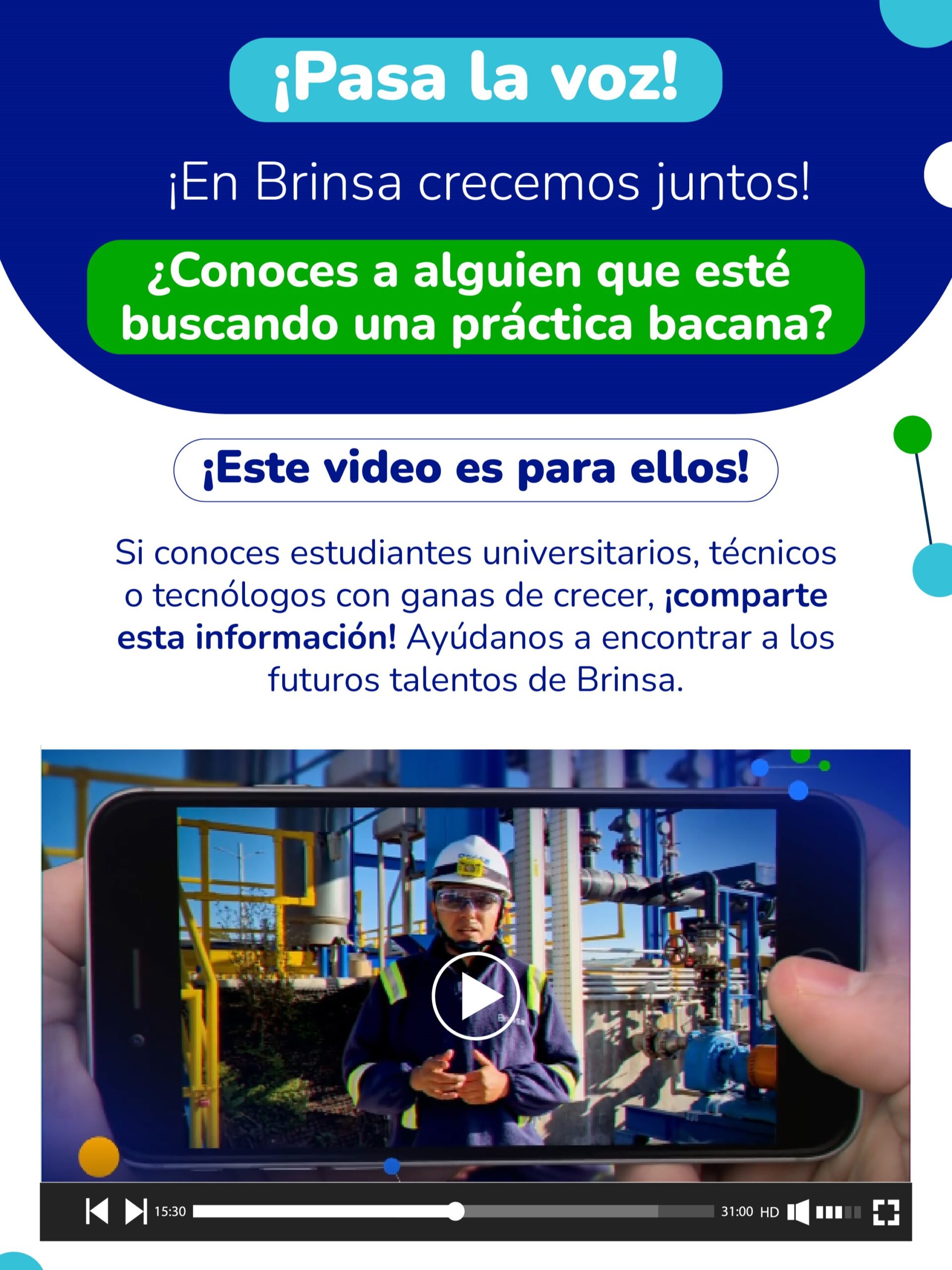 Brinsa boletin