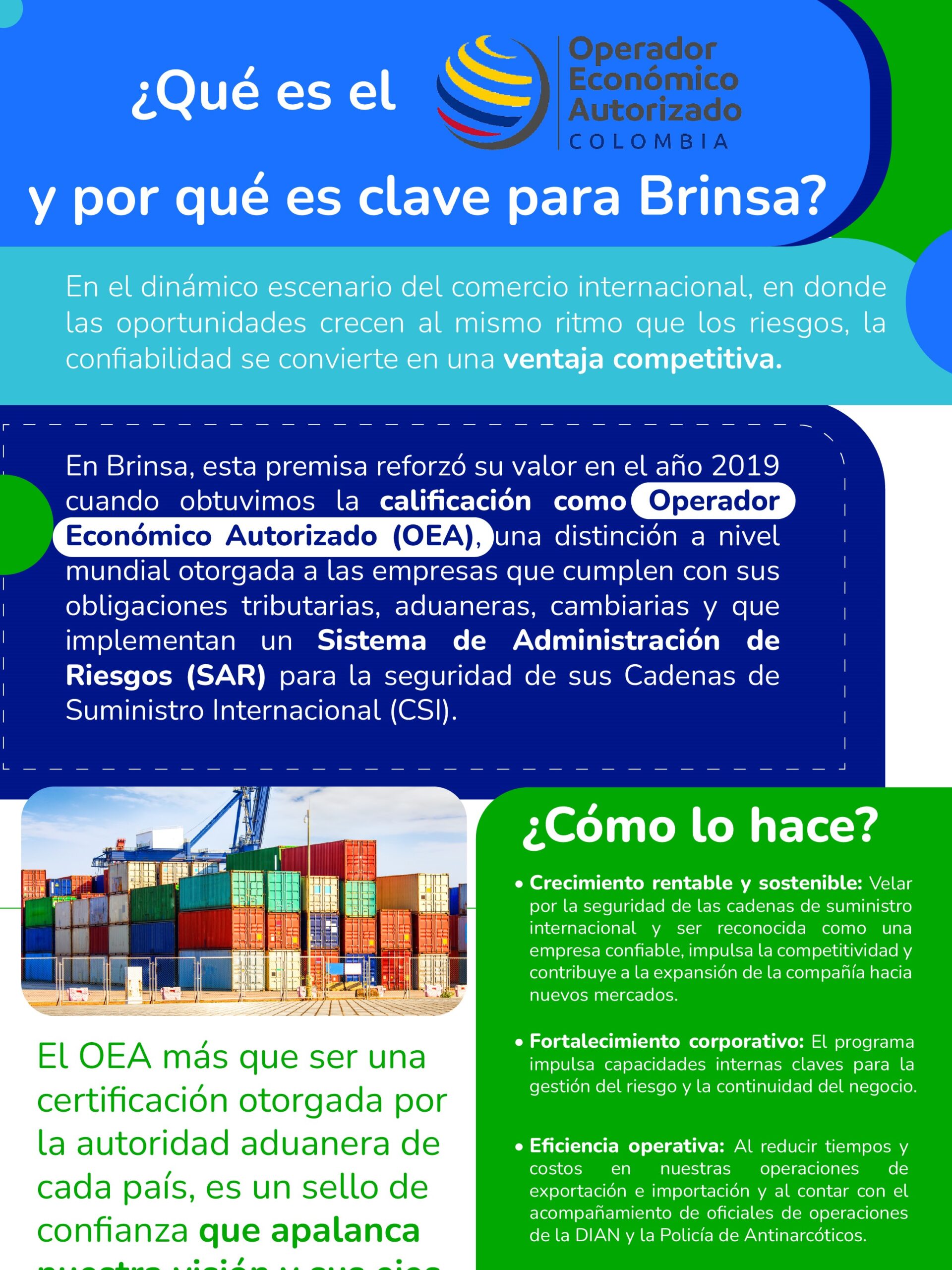 Brinsa boletin